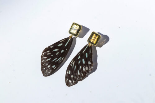 Blue Glassy Tiger Forewing - Image 7