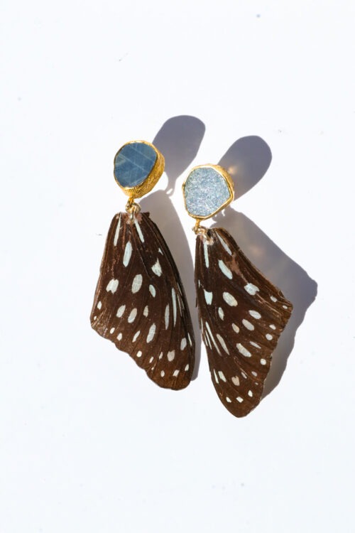 Blue Glassy Tiger Forewing